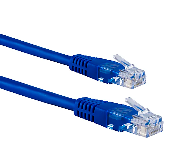 Cat 6 Blue