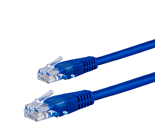 Cat 6 Blue