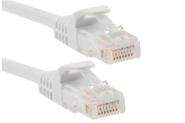 Cat 6 White