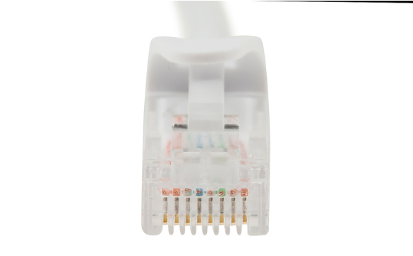 Cat 6 White